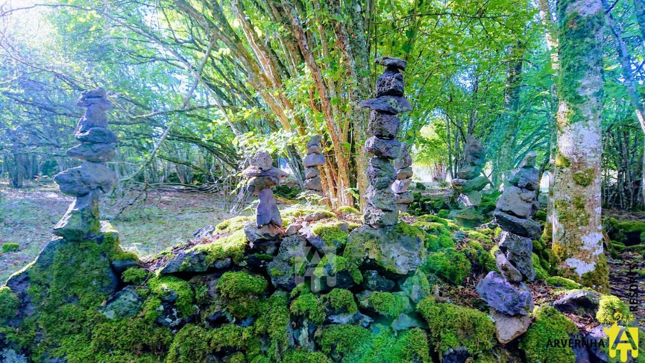 Gite Des Pierres Bleues Saint-Genès-Champanelle المظهر الخارجي الصورة